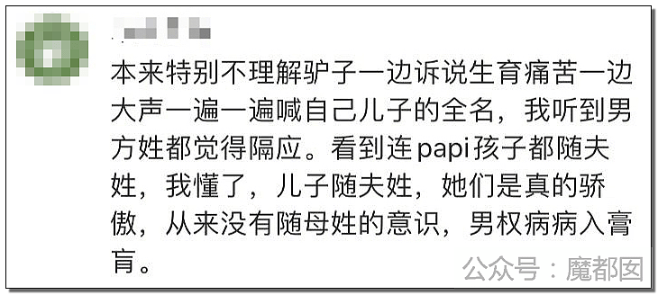 Papi酱被人万般辱骂成驴？只因孩子没跟她姓，和丈夫离婚还“弃”了孩子（组图） - 15