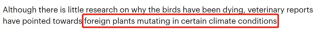 细思恐极，墨尔本大批彩虹鹦鹉离奇死亡，尸体从天而降！专家表示致病原因与新冠类似 - 17