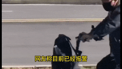 中国女孩当街遭殴打被骂“坐在宝马里哭”！女孩说“这宝马是我的”（视频/组图） - 2