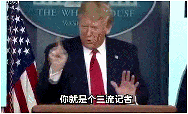 华裔女记者连续逼问，特朗普崩溃跑了！但这事情并没完…（视频/组图） - 10
