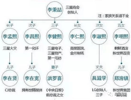 韩国总统拼了！舍命撕财阀，怒夺三星世袭“王位”！（组图） - 10