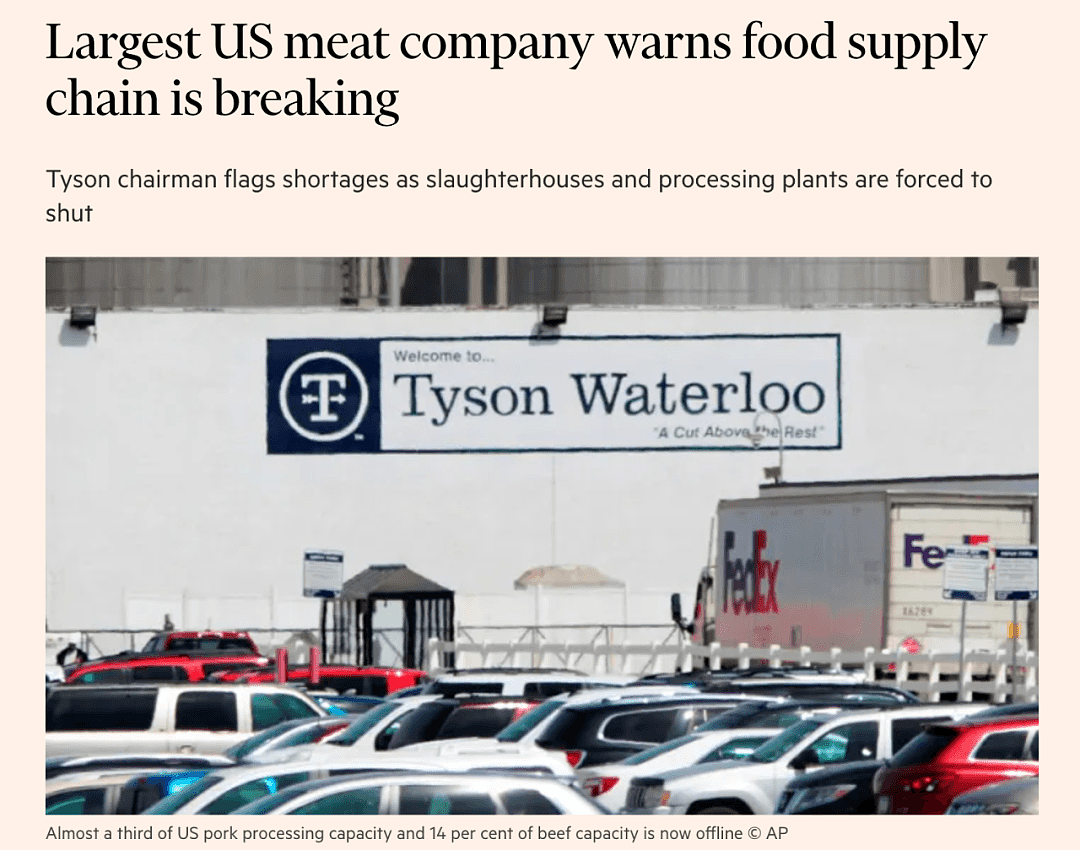 美国数百万头猪将被安乐死，Costco等多家超市限购肉类（组图） - 4