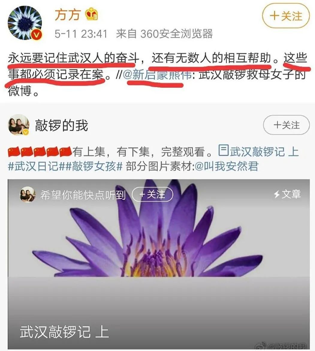 武汉“敲锣救母”的悲喜剧演变成了丑恶剧 引爆互联网的言论到底寒了人心（组图） - 1