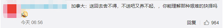 两只熊猫要被加拿大“退货”？加拿大人：超想养，但压力好大，心累（组图） - 24