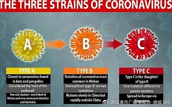 好消息！新冠病毒弱点找到了！