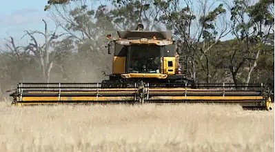 今天中国正式开始向澳洲大麦征收80%关税！四分之三以上产自西澳，西澳农业重创 - 6