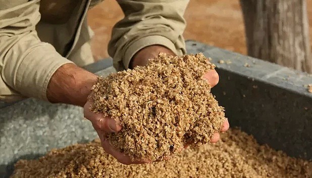 今天中国正式开始向澳洲大麦征收80%关税！四分之三以上产自西澳，西澳农业重创 - 8