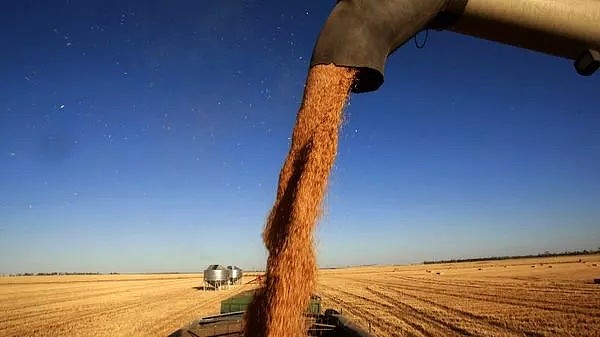 中国税太高？澳大利亚欲寻求大麦出口新市场！ - 2