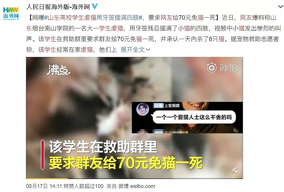 打死喂猫流浪汉，肢解中国留学生：1300万网友愤怒，虐猫的人，已经开始杀人了（组图） - 1