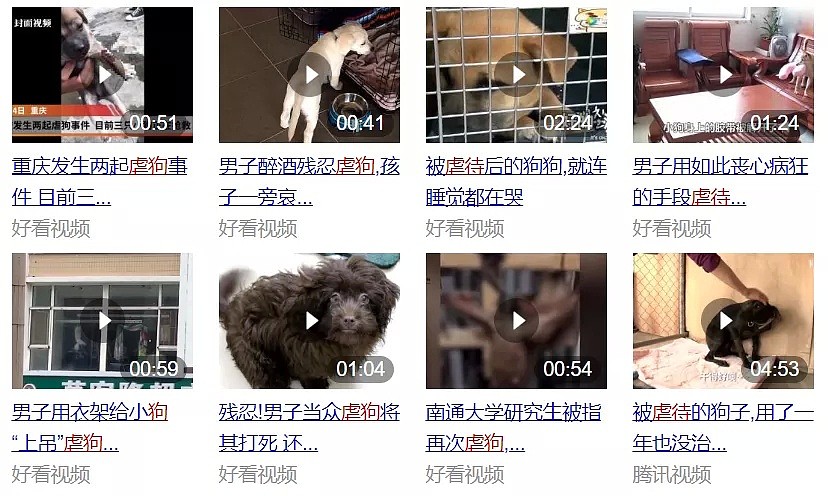 打死喂猫流浪汉，肢解中国留学生：1300万网友愤怒，虐猫的人，已经开始杀人了（组图） - 9