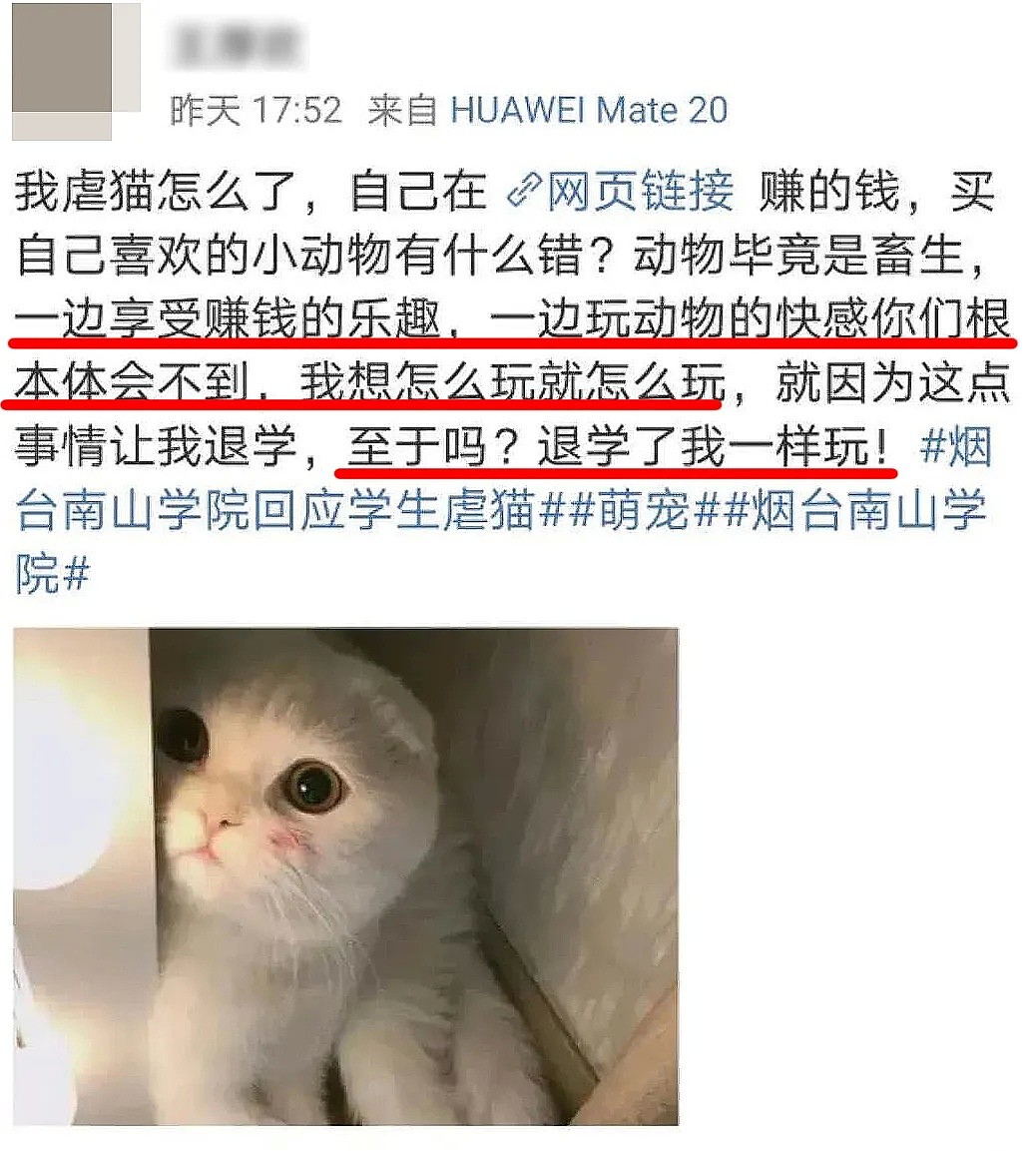打死喂猫流浪汉，肢解中国留学生：1300万网友愤怒，虐猫的人，已经开始杀人了（组图） - 25