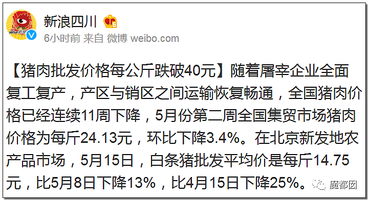 暴躁！中国市场乱象，疯涨1147%，头盔比猪肉还贵？到底这是为什么（组图） - 68