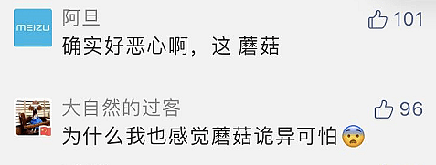 杭州女业主被家里蘑菇吓哭：怎么都除不掉，晚上还会化成一滩“黑水”！（组图） - 7