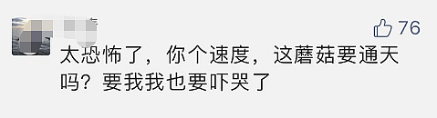 杭州女业主被家里蘑菇吓哭：怎么都除不掉，晚上还会化成一滩“黑水”！（组图） - 8