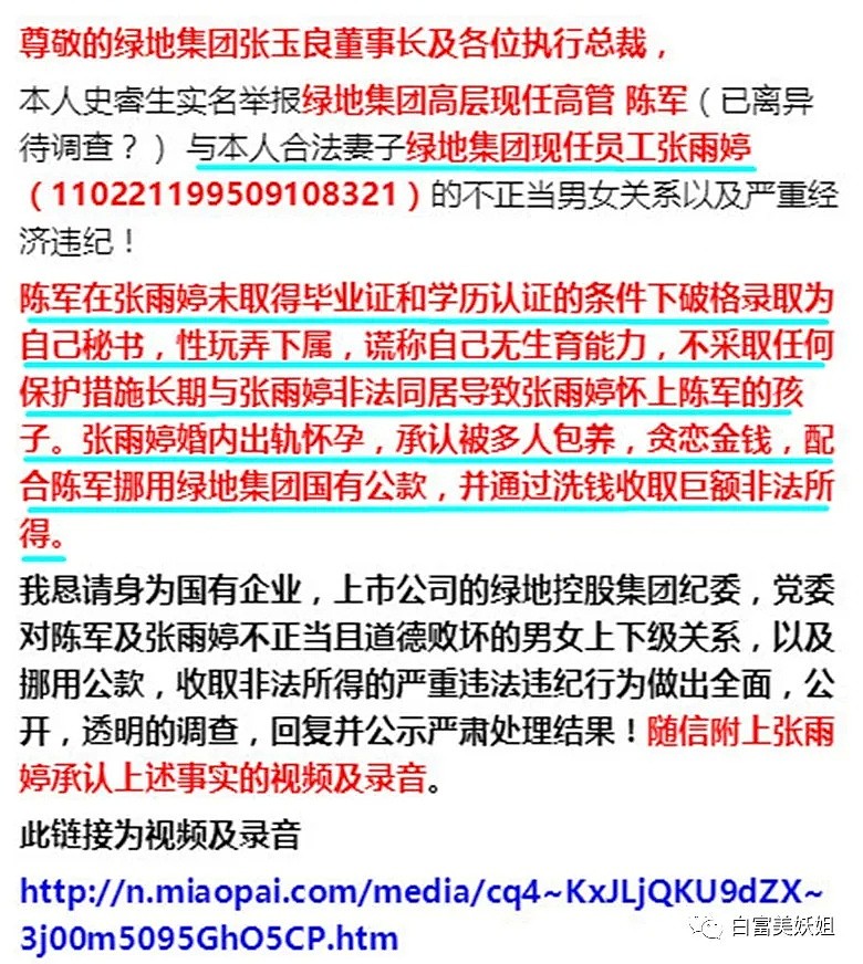 澳华男举报妻子出轨绿地高管，绿地回应：陈军撤职！开除！调查（组图） - 12