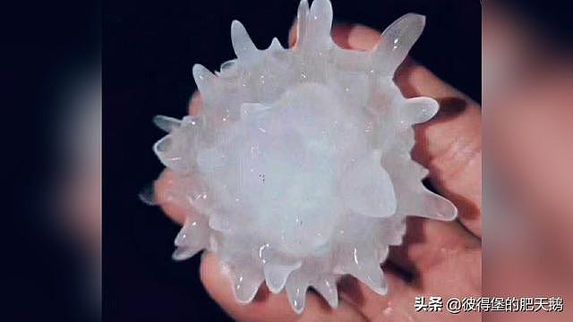 “新冠病毒”冰雹袭击墨西哥和中国：有人认为是上帝给人类的启示