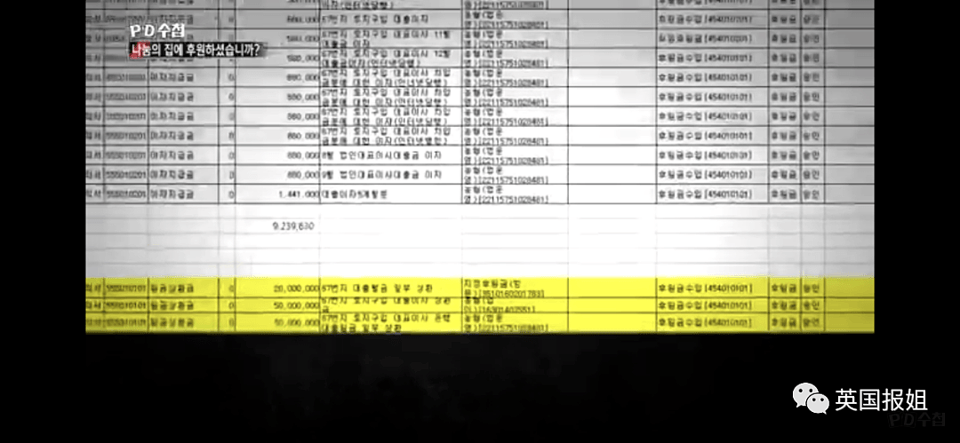韩国慈善组织被曝利用慰安妇敛财72亿，明星捐款超4亿惨被骗（组图） - 9