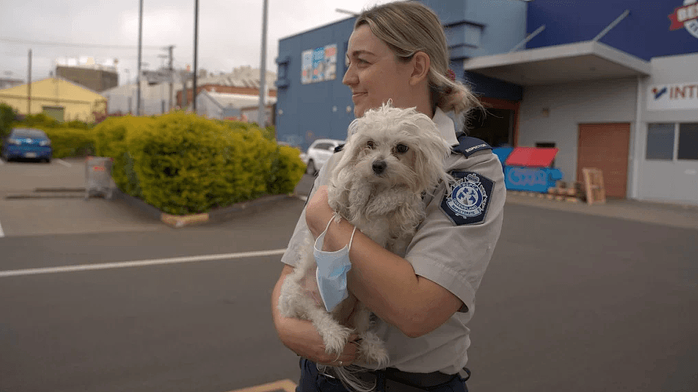 【宠物】澳洲无良宠物店被曝光！RSPCA冲入宠物店，心痛救出500多只小动物... - 7