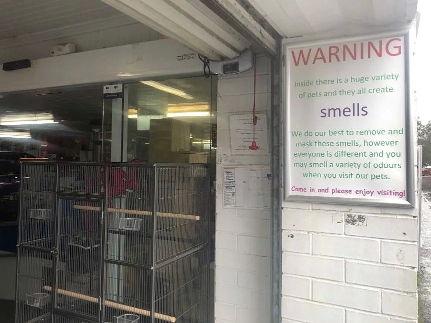 【宠物】澳洲无良宠物店被曝光！RSPCA冲入宠物店，心痛救出500多只小动物... - 10