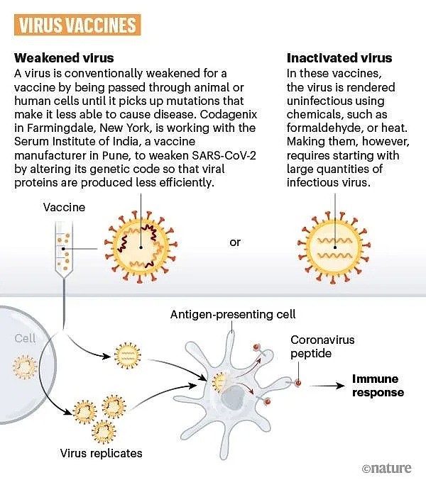 牛津新冠疫苗宣告失败，实验对象注射后，全部感染，有抗体也没用！澳洲专家：“研发疫苗，难度堪比登上火星...” - 5