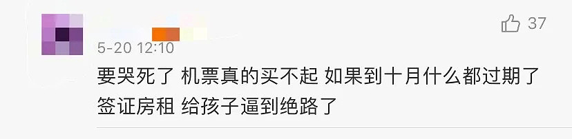 揪心！中国限飞令延长半年至10月，留学生被困澳洲进退两难 网友：签证房子都过期，逼到绝路了 - 19