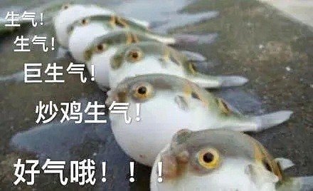 千万别吃！中国男子吃这鱼中毒，医生：无解药…曾有人误食惨死（组图） - 3
