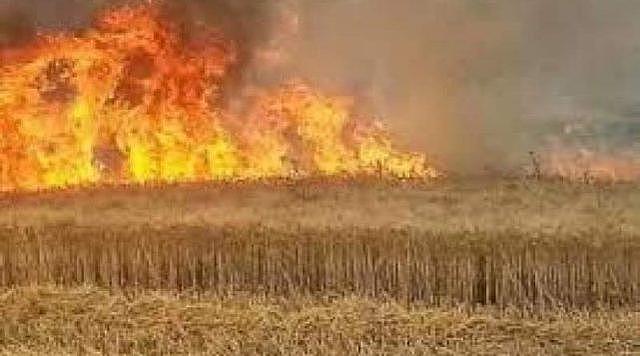 耀武扬威！美军阿帕奇直升机在叙利亚投下燃烧物烧毁2万公顷麦田