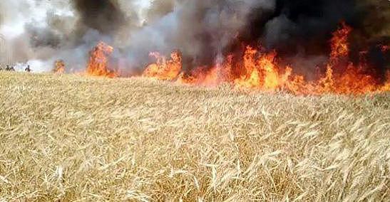 耀武扬威！美军阿帕奇直升机在叙利亚投下燃烧物烧毁2万公顷麦田