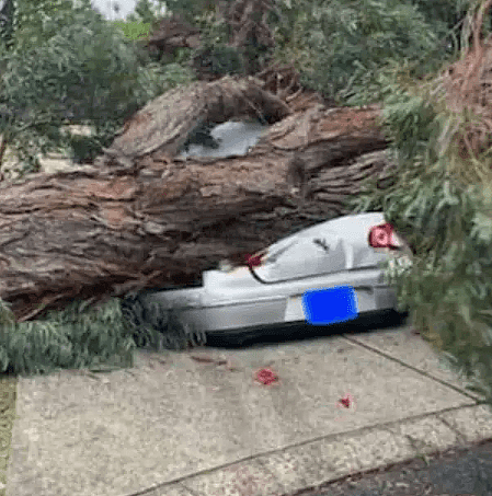 西澳正在遭遇近十年最强暴风雨袭击！5万住户企业大断电，没电、没网、没信号 - 9