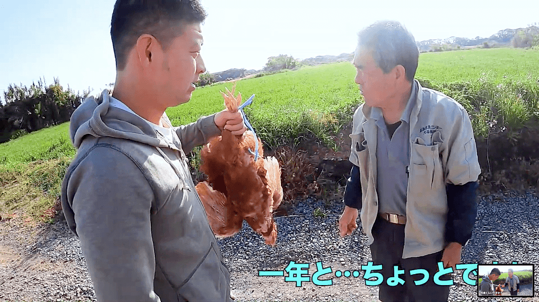 三个日本小哥带着只鸡躲疫情荒岛求生一个月，男人们的快乐就是这么简单啊（组图） - 4