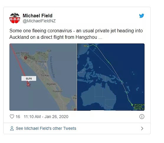 好大的瓜！新西兰封国前，中国3架私人飞机悄悄抵达 总理与马云通话半小时，谈啥呢……（组图） - 4