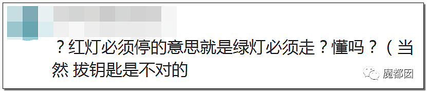 爆议！谁的错？前车绿灯剩8秒硬是停车不过去，后车大怒动手（组图） - 50