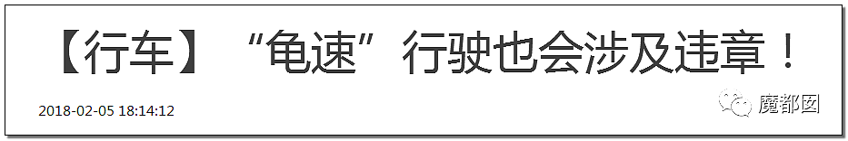 爆议！谁的错？前车绿灯剩8秒硬是停车不过去，后车大怒动手（组图） - 80