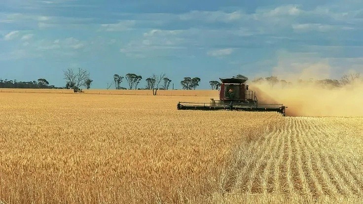 买不到大米的危险，相比澳洲农业面临的真正风险不值一提 - 6