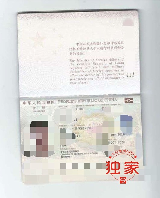 假护照333.jpg,12