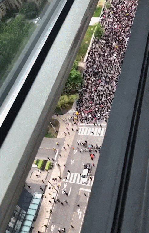 全乱了！多伦多警察被指将黑人女子推下阳台致死，当地爆发千人游行示威，英国伦敦示威高喊：“英国并不无辜！”（视频/组图） - 5
