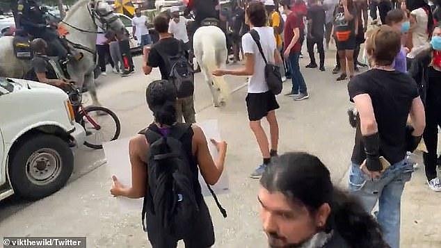 美国骑警驾马踩人！黑人女举牌抗议时，无故遭骑警骑马撞倒践踏