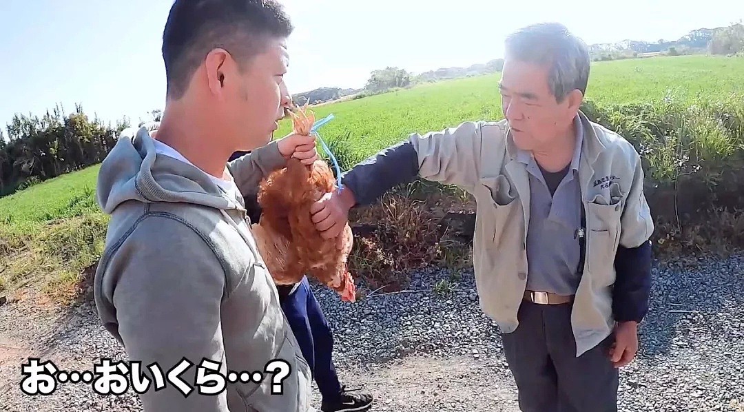 为了躲疫情，三个日本小哥带着只鸡跑到无人岛生活一个月，网友：这荒岛求生太好笑了吧！（组图） - 8