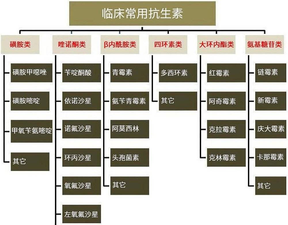 中国人常吃的阿莫西林，正在引起一场灾难！（组图） - 2