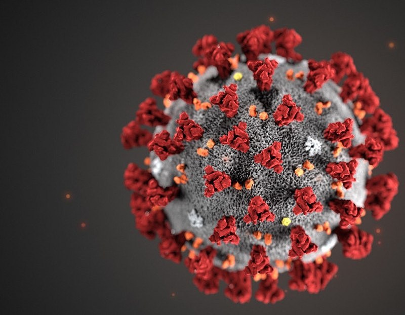 coronavirus-dark-1200x800-CDC-CROPPED1111.jpg,0