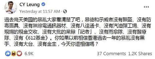 教你灭烟雾弹、避捕…香港“暴徒”给美国示威者“传授经验”，网帖疯传（组图）（组图） - 9