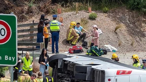 新西兰车祸司机认罪！致20名华人受伤，10岁女孩失去双手，2人重伤截肢...这个季节的新西兰很危险（组图） - 1