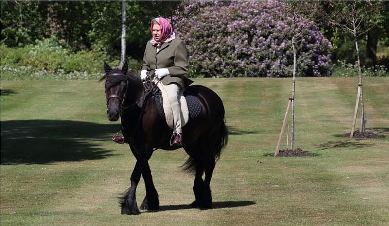英国女王骑马亮相: 光靠赛马,她就赢了6249万，多年来热衷骑马、养马、赛马(组图) - 1