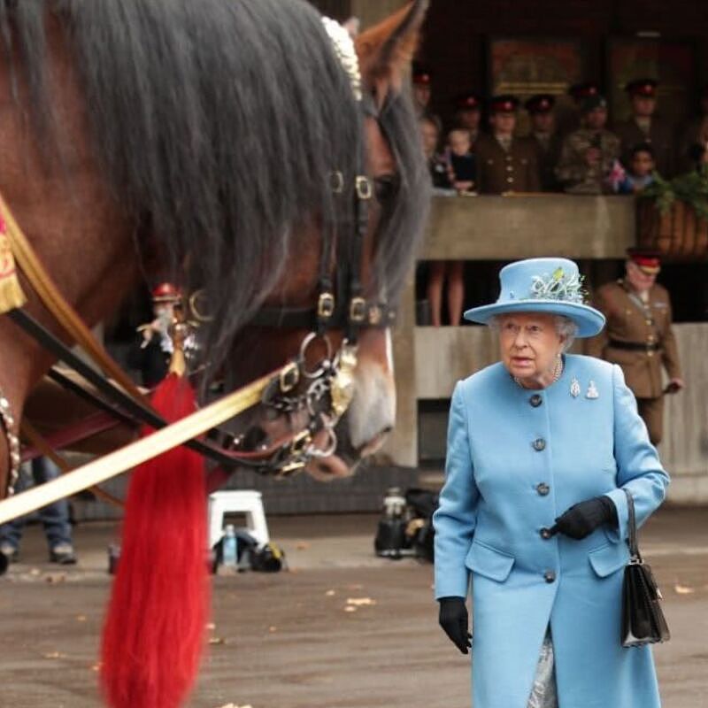 英国女王骑马亮相: 光靠赛马,她就赢了6249万，多年来热衷骑马、养马、赛马(组图) - 5