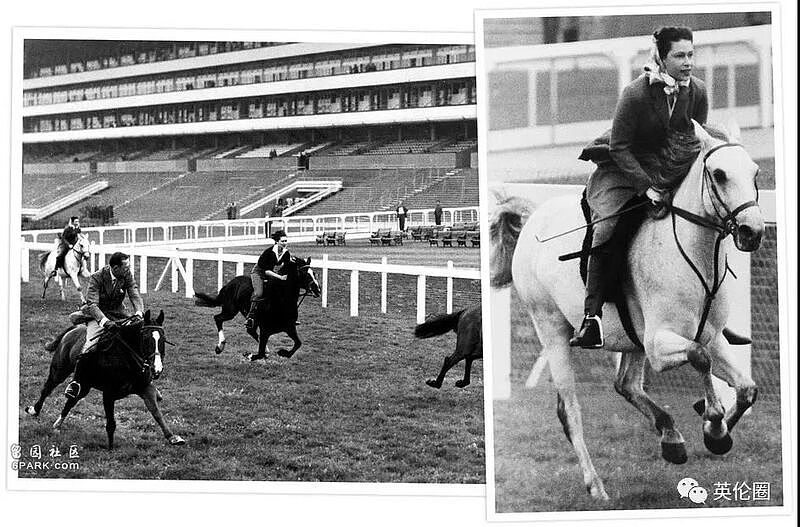 英国女王骑马亮相: 光靠赛马,她就赢了6249万，多年来热衷骑马、养马、赛马(组图) - 7