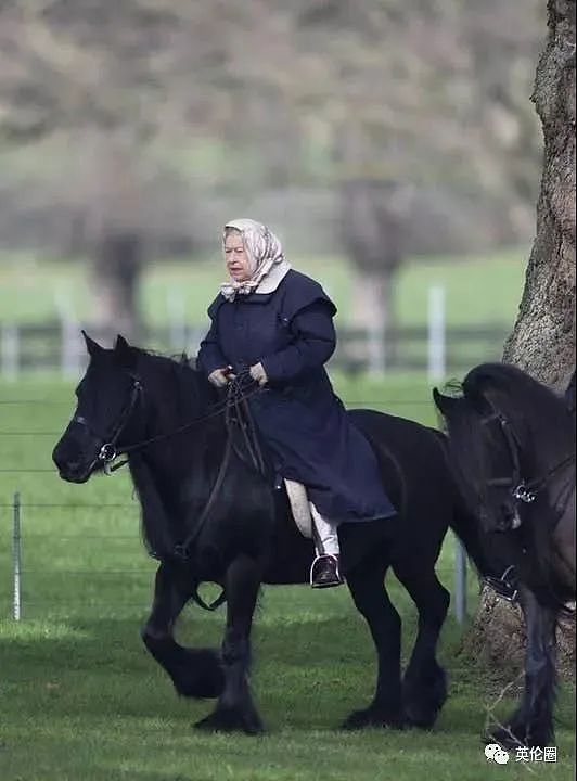 英国女王骑马亮相: 光靠赛马,她就赢了6249万，多年来热衷骑马、养马、赛马(组图) - 8