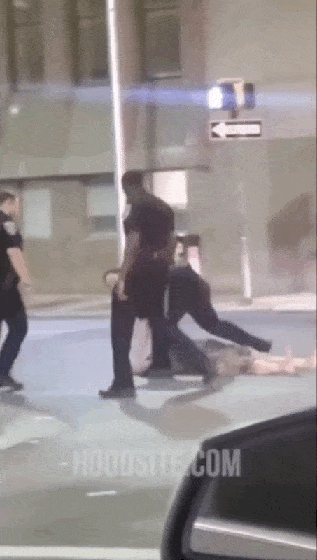白人警察被黑女愤怒连环捶！黑人警察看不下去，对同胞重拳还击...（组图） - 3