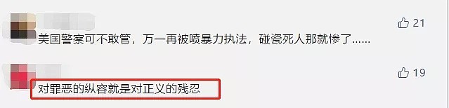 白人警察被黑女愤怒连环捶！黑人警察看不下去，对同胞重拳还击...（组图） - 13