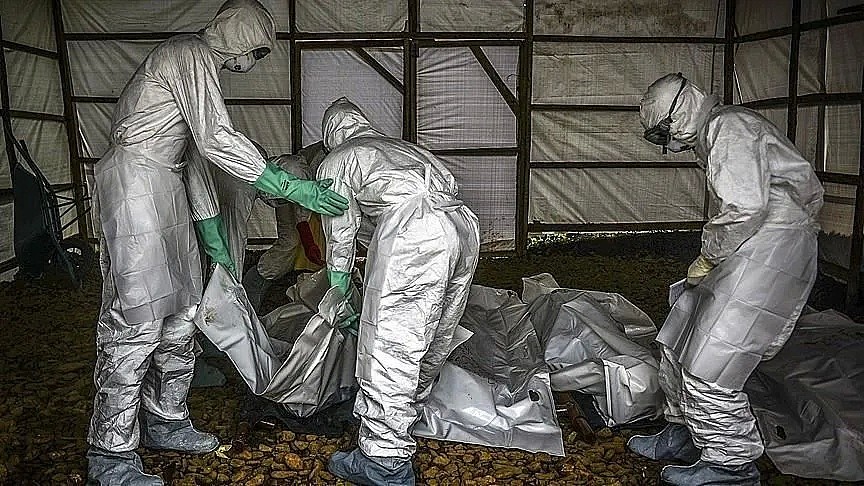 疫情下，史上最可怕的埃博拉病毒卷土重来！美国暴乱向外蔓延，2020年还能更糟吗? - 17
