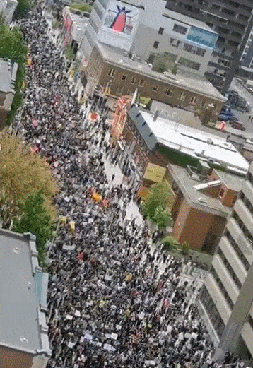 多伦多市长警告2大游行或有打砸抢！华人小心...（视频/组图） - 6
